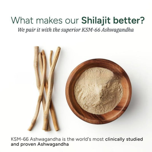 60 Tablets Of Xilaizhi Mushroom Soft Candy