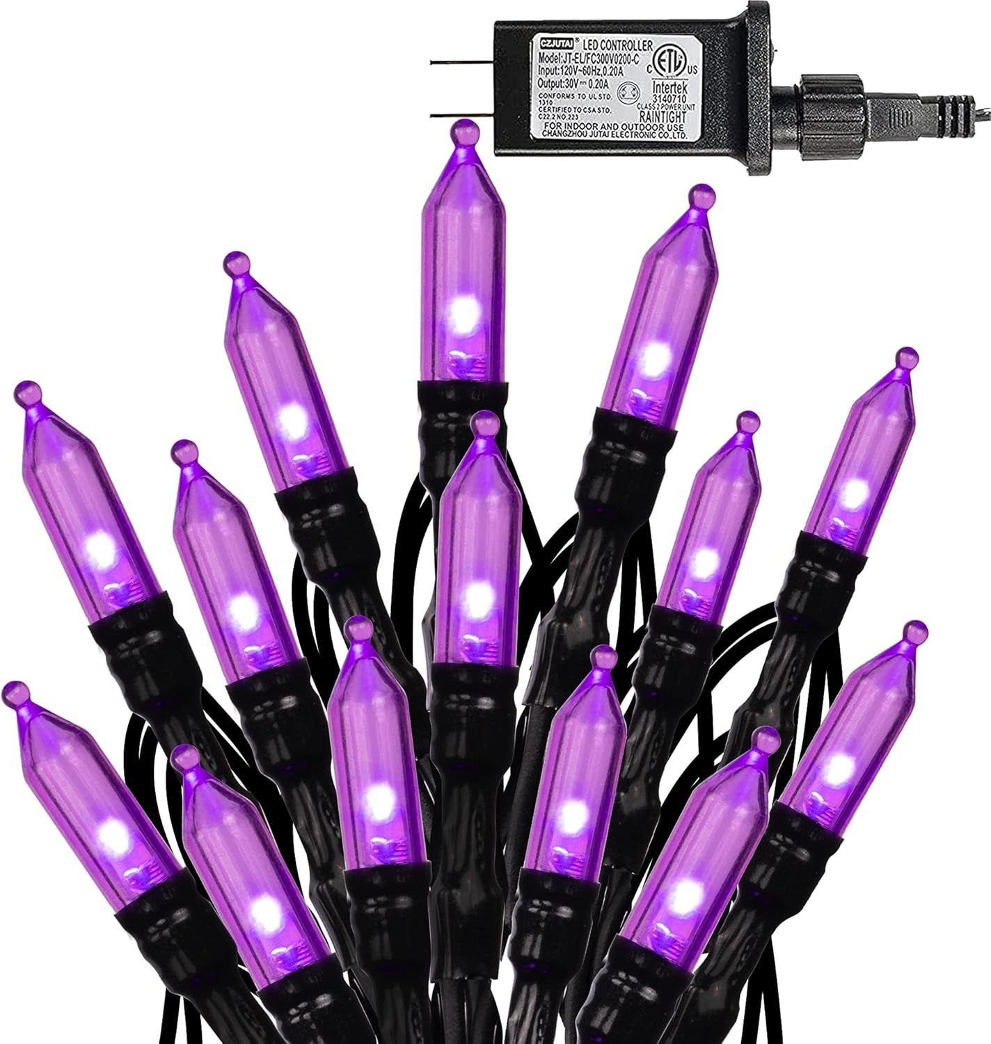 200 LED Halloween Mini String Lights, 65FT Light up 8 Modes Halloween Decorations Fairy Lights for Indoor Outdoor Room Garden Holiday Party (Purple)