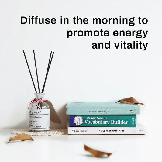 HIQILI Tangerine Essential Oil 100ml | Pure Citrus Oil for Diffuser, Cleaning, Massage & Soap Making